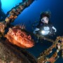 Shipwreck Diving in the Maldives: Exploring the Sunken Treasures