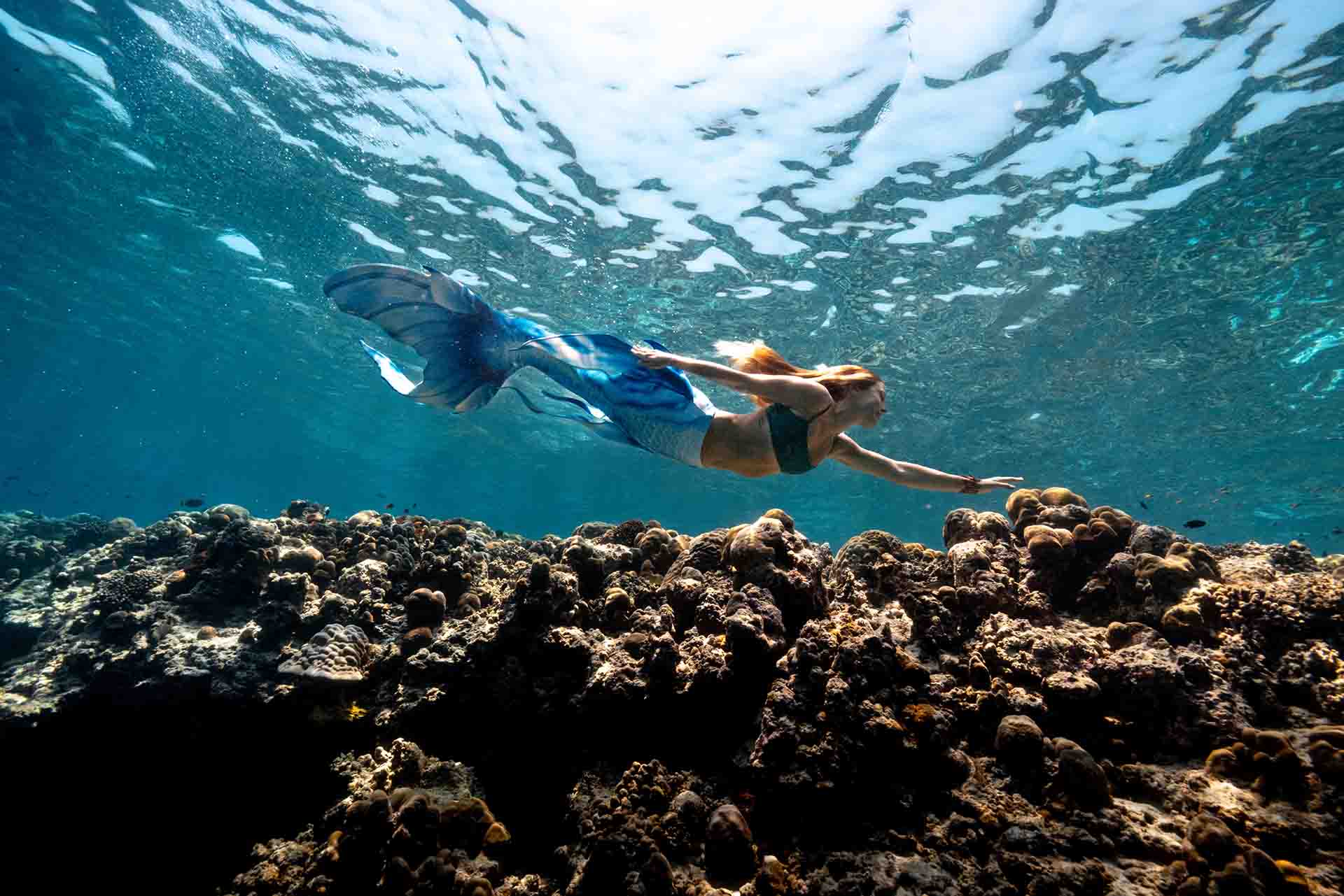 Ocean Mermaid