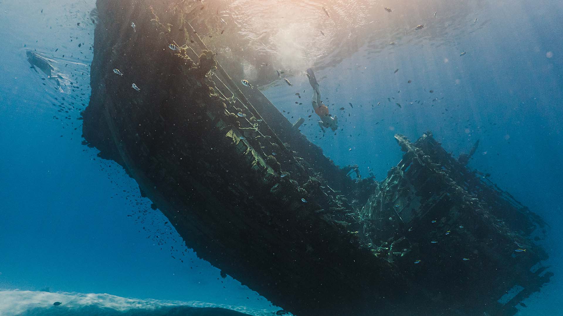 Wreck Diving