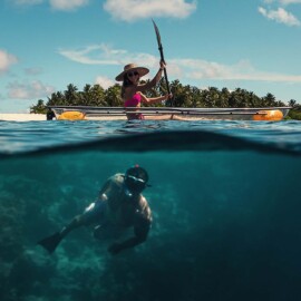 Diving in the Maldives